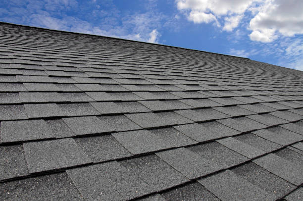 Best Chimney Flashing Repair  in Lake Kerr, FL